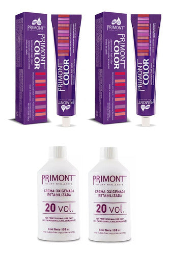 Primont 60g Hair Coloring Ammonia Kit x 2 0