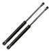 Volkswagen Golf IV Trunk Shock Absorber 0