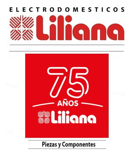 Accessory Disc for Liliana AM469 Food Processor - Imported 1