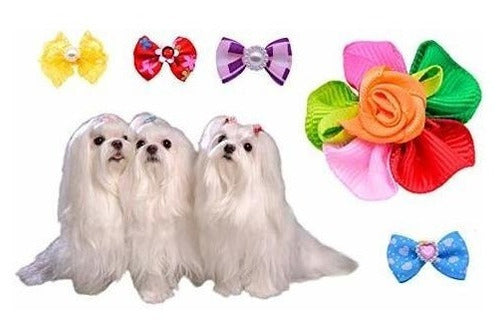 Masue Pets 50pcs / 25pairs Various Dog Hair Bows Rhi 3