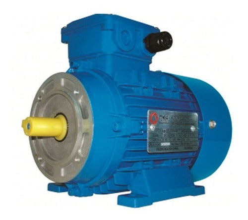 MEC Motor Mec Trifasico 0.5 Hp 2800 Rpm Con Brida B14 0