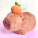 Bazar Don Acuña Capibara Plush Toy 20 Cm Imported 2