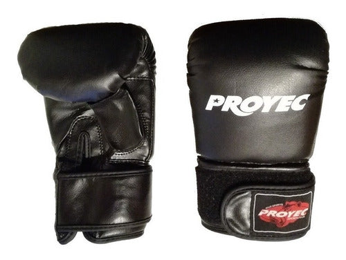 Proyec Boxing Gloves - Vivid Collection 20