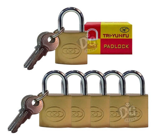 Padlock 20mm Lockers 2 Keys Kit Pack of 6 Units 0