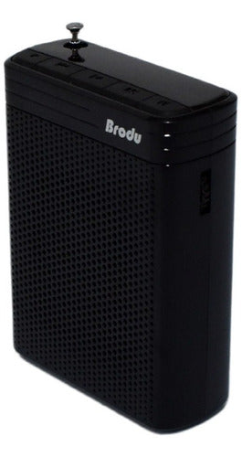 Wireless Headset Microphone Voice Amplifier SD FM Radio BT Speaker 15