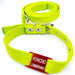 Medallas para perros Red Tag + Green Apple Collar and Leash 1