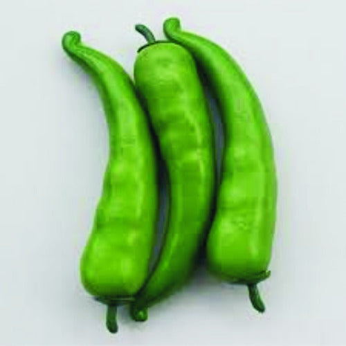 Real Size Decorative Green Chili Pepper - 1 Unit 0