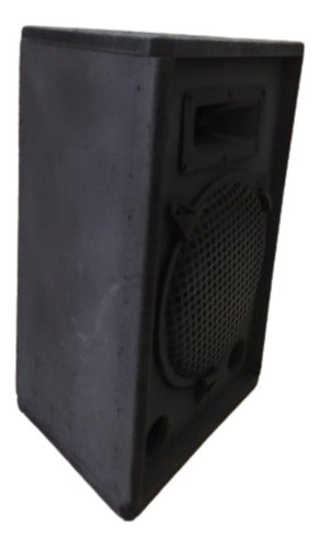 HOMS 10-Inch Trapezoidal Speaker 1