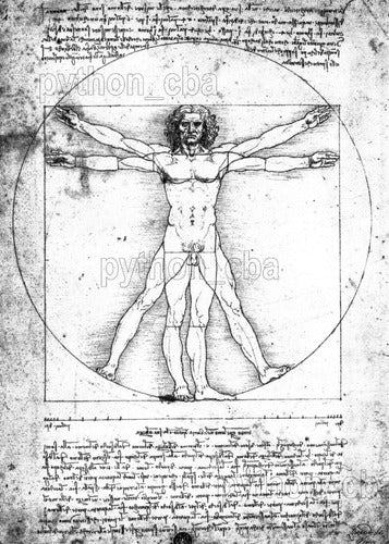 Beautiful Vitruvian Man Poster - Da Vinci - 120x85 New 2