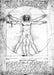 Beautiful Vitruvian Man Poster - Da Vinci - 120x85 New 2