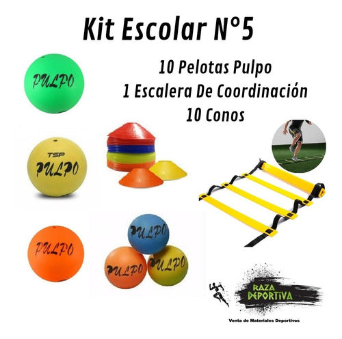 School Kit #5 Octopus Ball, Cones, Coordination Ladder 1