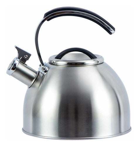 Whistling Stainless Steel Kettle 3L by Pettish Online 0