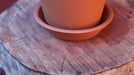 Round Clay Pot Saucer Blum 14cm 3