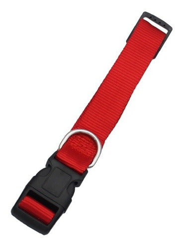 Nylon Collar and Leash Set for Dogs and Cats Various Sizes 32