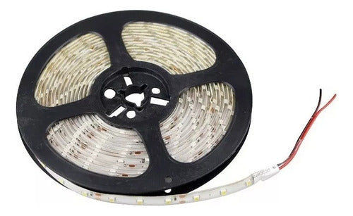 LED Strip 3528 Neutral White Outdoor 5m+ Power Supply 0