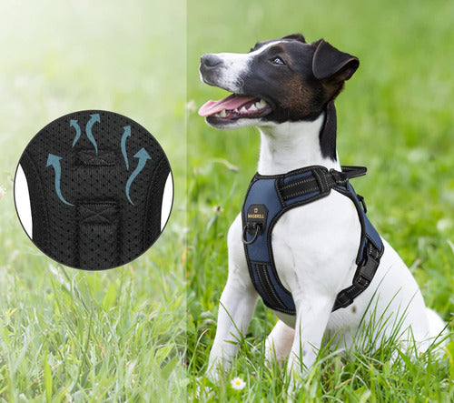 High-Quality Dog Harness and Collar in Blue and Black! 1