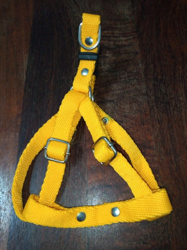 Camican Adjustable Harness for Small Dogs 30 Cm Petcamican 7