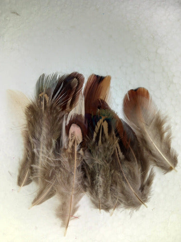 Mini Pheasant Feather x 25 Pack Souvenir Dreamcatcher 2