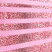 Hallmark 9" Medium Gift Bag with Tissue Paper (Pink Stripes) 4