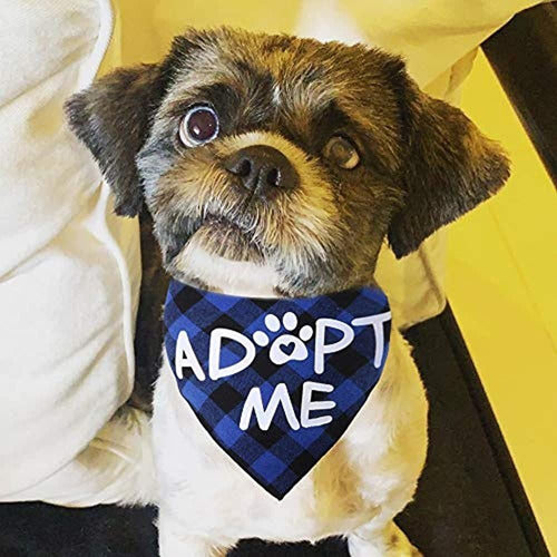 Jpb 2 Pack Adopt Me Dog Bandana 1