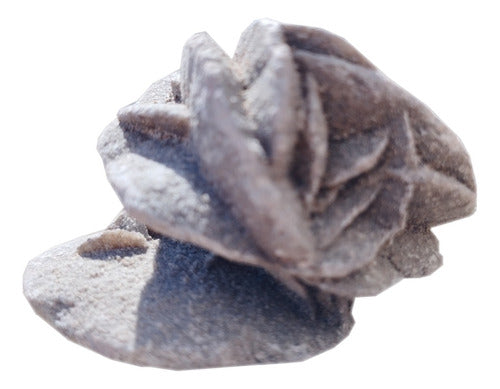 GEMOS Mineral Rose of the Desert 6x4.5x4cm 74g 0