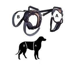 Richmond Carelift Full Body Rehabilitation Harness Medium 1