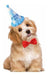 Yookat 8 Pieces Party Hat Set for Dogs with 8 Bow Tie Accessories 2