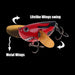 Iluminarás Señuelo Pesca Tararira Crankbait Alas Paleta Metal Anzuelo 7