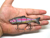 Blitz 4" Realistic Trout Swimbait Fishing Lure 6