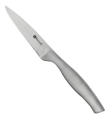 Roswell Stainless Steel Knife 20.5cm for Fruits 0