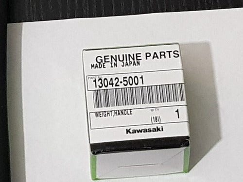 Kawasaki Genuine Puntera Manubrio Z1000 2010-2016 Original 3