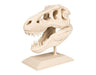 TODO 3D STORE T-Rex Skull Decoration 0