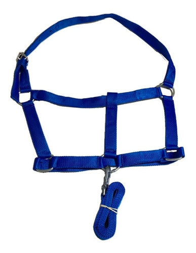 Talabartería Virtual Bozal De Nylon Para Caballo Percheron Con Mosquetón 1