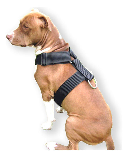 FTZ Pit Bull Collar Halti Harness Dog Leash 3