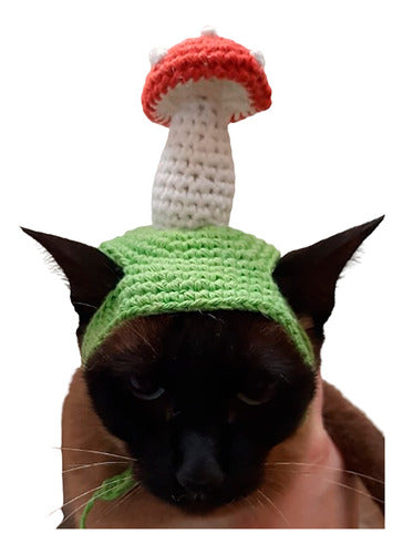 Sombrero De Hongo Para Gatos A Crochet 0