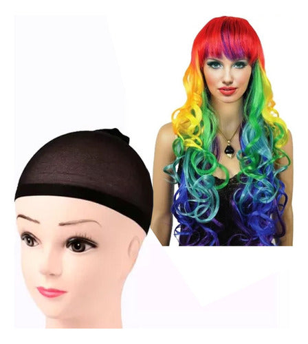 Kit Hairnet for Wig Fixing + Long Wavy Multicolor Fantasy Wig 0