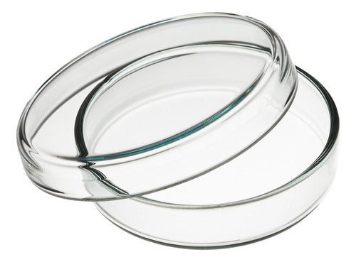 HDA Envaplus Pacheco 10 Petri Dish 100 Mm Borosilicate Glass 3.3 0