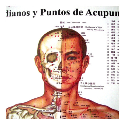 3 Láminas Meridianos Y Puntos De Acupuntura Lona 107 X 49 Cm 5