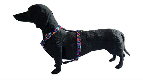 Adjustable Small Size Harness for Small Breeds - Mini Poodles, Dachshunds 5