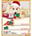 Pweituoet Christmas Toys For Dogs With Christmas Stockings 2