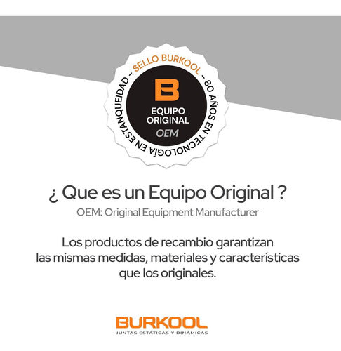 Burkool Burlete De Portón Medio Renault Kangoo Express, Sealpro 4