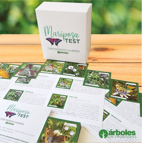 Arboles Sin Fronteras - Mariposa Test (Cada Mariposa A Su Planta) Juego Educativo 4