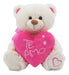 Plush Teddy Bear with Embroidered I Love You Heart Soft Toy 30cm 5