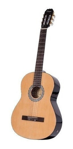 Parquer Electroacoustic Classical Guitar Master Eq Cuota 0