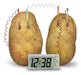 4M Potato Clock Science Kit Renewable Energy Jeg FM275 0