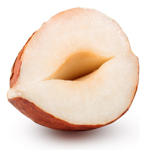 Sliced Hazelnuts 800g | Premium 2