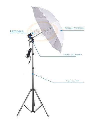 Franca Digital Continuous Light Kit X2 with Lamp Holders, Umbrellas, and 92cm Tripods 2