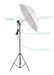 Franca Digital Continuous Light Kit X2 with Lamp Holders, Umbrellas, and 92cm Tripods 2