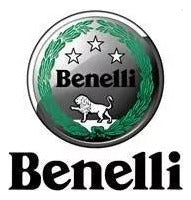 Benelli Tnt 250 Mk Posapies Trasero Derecho 1