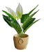 Planta Con Flores Blancas De Aspecto Natural 60cm Decoracion 0